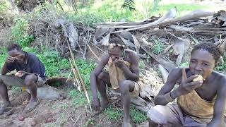 HADZABE TRIBE ORGINAL BUSHMEN HUNTERS EAST AFRICA HUNTERS CULTURE IN TZ [upl. by Ahsehyt413]