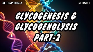 Chapter 2  Metabolism Of Carbohydrates Part9  Glycogenesis amp Glycogenolysis 2 [upl. by Matthieu950]