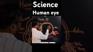 How to draw a Human eye diagram sciencefacts [upl. by Zelten565]