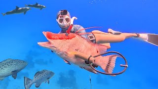 HUGE Fish in Shallow Water Bahamas SPEARFISHING is the Best [upl. by Primrose]