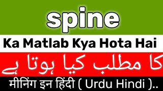 Spine Meaning  Spine Meaning In UrduHindi  Spine Ka Matlab Kya Hai  Spine Ka Meaning Kya Hai [upl. by Ethe]