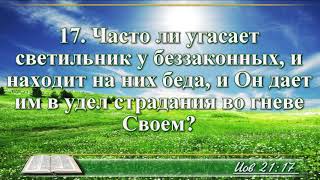 ВидеоБиблия Книга Иова без музыки глава 21 Соколов [upl. by Hunger67]