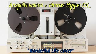 Acapella voices  chorus Wonderful Life cover Mygue [upl. by Conrado]