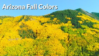 Flagstaff Fall Colors [upl. by Eilagam205]