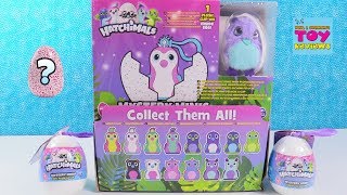 Hatchimals Mystery Minis Surprise Egg Plush Backpack Hangers Toy Review  PSToyReviews [upl. by Brodench]