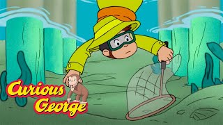 George and Bills Fishing Contest 🐵 Curious George 🐵 Kids Cartoon 🐵 Kids Movies [upl. by Aineles573]