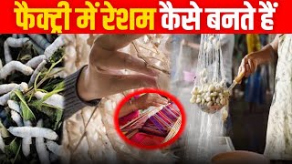 Resam Kaise Banta Hai  Silk Manufacturing Process in Factory in Hindi  Fact Fiction [upl. by Hesler]