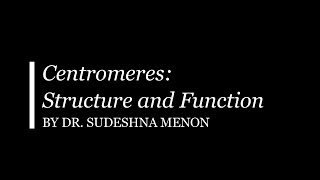 Centromere Structure and Function [upl. by Tadd980]