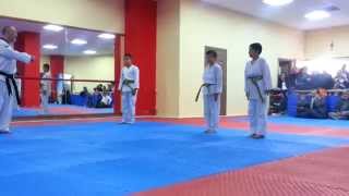 Mehmet Batuhan Çelik Taekwondo Sarı  Yeşil Kuşak Sınavı [upl. by Ajile814]