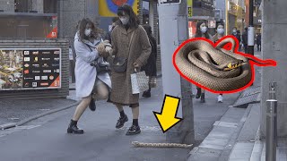 突然へびが出てくるドッキリ  Snake Scare Prank in Japan Part2 [upl. by Eboh]