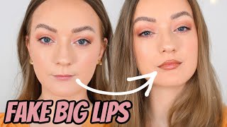 HOW TO Make TINY Lips Look BIGGER  Tips to Fake Big Lips With Makeup [upl. by Gazo]