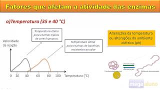 Enzimas  Catalisadores Biológicos  material na descrição [upl. by Jaela431]