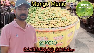 kuwait fahaheel lulu mango mania [upl. by Irrep]