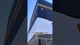 The Kiswah Ghilaaf of Kabah changing ❤️ kaaba islam [upl. by Ahk]