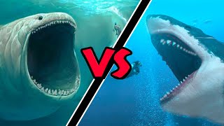 Megalodon VS Bloop – Who Would Win [upl. by Arrotal]