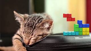 TETRIS and sleeping Cat [upl. by Pironi]