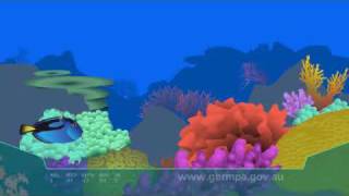 Coral bleaching on the Great Barrier Reef [upl. by Korrie]