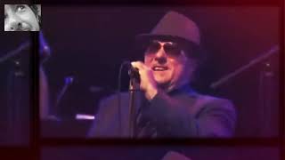 Van Morrison  Have I Told You Lately live [upl. by Annoj]