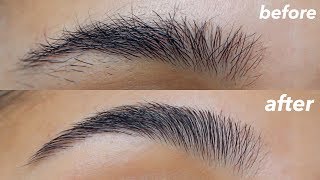 HOW TO GROOM  SHAPE YOUR EYEBROWS super easy  at home [upl. by Corie]