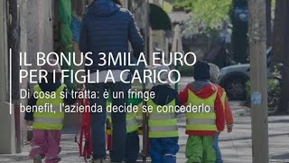 Bonus 3mila euro per i figli a carico come funziona il fringe benefit [upl. by Victoir660]