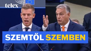 Orbán kontra Magyar – ilyen volt a strasbourgi EPvita [upl. by Danyelle]