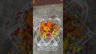 Deepavali thippamma kannada song music nature howtomakesimplerangoli musicgenre hasanan [upl. by Randal446]