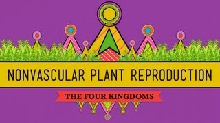 The Reproductive Lives of Nonvascular Plants Alternation of Generations  Crash Course Biology 36 [upl. by Adiahs]