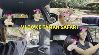 MAIN KE TAMAN SAFARI BARENG CELIBOY NGASII MAKAN HEWAN DISANA TAKUT TAPI SERUU BANGETTT [upl. by Gussman]