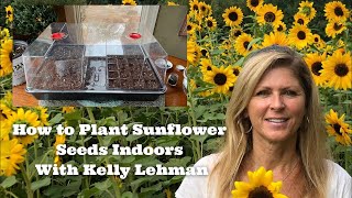 How to Plant Sunflower Seeds Indoors  With Kelly Lehman [upl. by Samalla843]