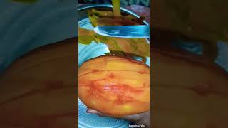 😋Delicious Fruit  KamatchiVlog papayacutting healthyfruit youtushorts [upl. by Cheslie]