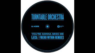 Turntable Orchestra  Youre Gonna Miss Me Friend Within Remix [upl. by Lyrrehs362]