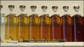 Cognac  leaudevie dexcellence  La Quotidienne la suite [upl. by Nohtahoj]