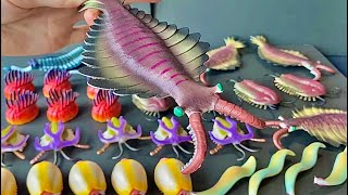 Unboxing Cambrian Explosion Army Anomalocaris Opabinia Wiwaxia And More [upl. by Rutherfurd]