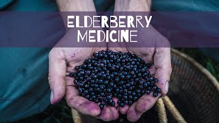 Elderberry Medicine [upl. by Flam]