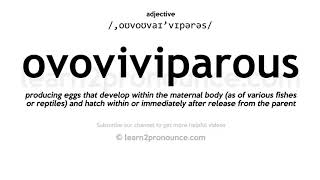 Pronunciation of Ovoviviparous  Definition of Ovoviviparous [upl. by Adiana]