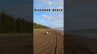 Discover Tranquility at Diveagar Beach Your Serene Coastal Escape [upl. by Cotterell]