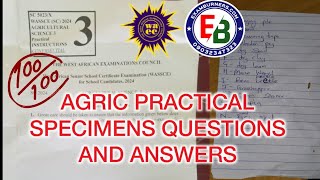 2024 WAEC Agric Practical Specimens Questions and Answers [upl. by Edlihtam]