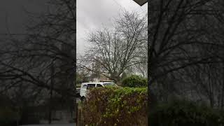 Wind and wind so windy in the UK shortsvideo windy short [upl. by Citron]