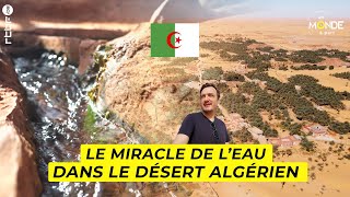 Algérie  le miracle de leau dans le désert algérien avec la foggora  Un Monde à part [upl. by Ecadnac220]