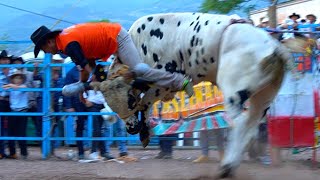 Â¡Â¡CAYO LA MASCOTA DE JALISCO Rancho El Huizache En Etucuaro Michoacan 2023 [upl. by Eyllom]