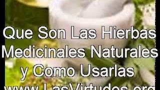 Que Son Las Hierbas Medicinales Naturales y Como Usarlas  video de autoayudaavi [upl. by Gessner994]