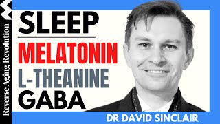 Melatonin GABA LTheanine  Dr David Sinclair Interview Clips [upl. by Ahsiruam214]