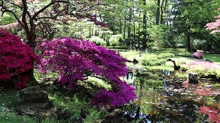 Japanese garden in Clingendael park The Hague Den Haag Netherlands [upl. by Osyth]