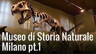 Museo Storia Naturale MILANO Pt1 [upl. by Burlie436]