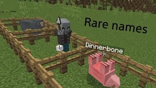 Minecraft name tag Rare names tutorial [upl. by Radmen]