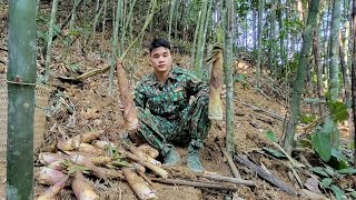 Harvesting bitter bamboo shoots  selling bamboo shoots at the market [upl. by Shep]