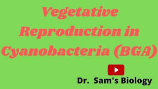 Vegetative Reproduction in Cyanobacteria BGA [upl. by Sedlik824]