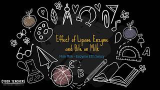 Pink Milk Experiment The Effect Lipase Enzyme and Bile on Milk by Mr T [upl. by Yrrab]