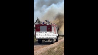 Waldbrand bei Jüterbog Die Feuerwehr kämpft gegen die Ausbreitung des Feuers  TeltowFläming [upl. by Brause]