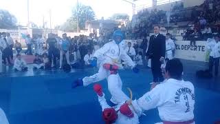 Pelea de Taekwondo cinturón amarillo EscCondori [upl. by Neiluj687]